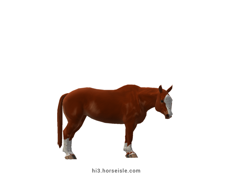 Cow-pony Omby Liver Chestnut Coat